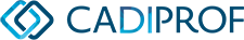 Logo celebrativo ventesimo anniversario Cadiprof